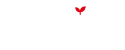 Learning Space